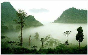 Ta mãi đi hoài